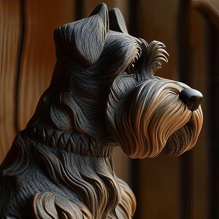 Zwergschnauzer dog